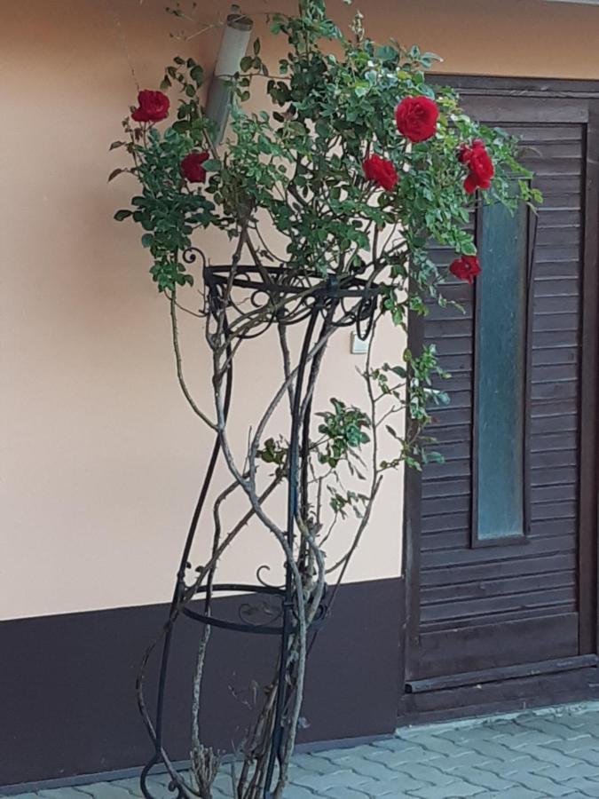 Herkules Apartman Zalakaros Bagian luar foto